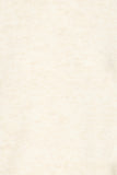 BYMONNA Rollneck